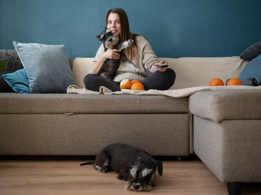 Une opportunité en or pour votre gîte ou chambre d'hôtes